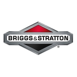 Briggs & Stratton